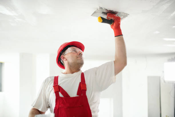 Dehumidification Services in Sunnyside, CA