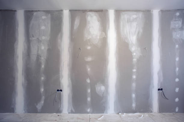 Mold Remediation for Vacation Homes